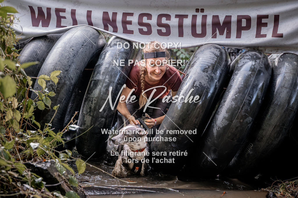 nelerasche_Hunsrück2026_Sa1400-1500_351 | nelerasche