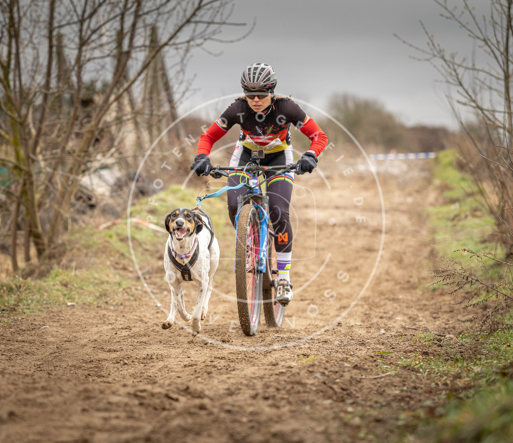 DV3A0651 | Hundefotografie, Tierfotograf, Pfotenfotografie, Fotoshooting Hund, Hunde Portrait, Hundesport, Hundeportraits, Heideshooting, Hunde, Sportfotograf, Hundefotograf, Turnierhundsport, THS,  - Realisiert mit Pictrs.com