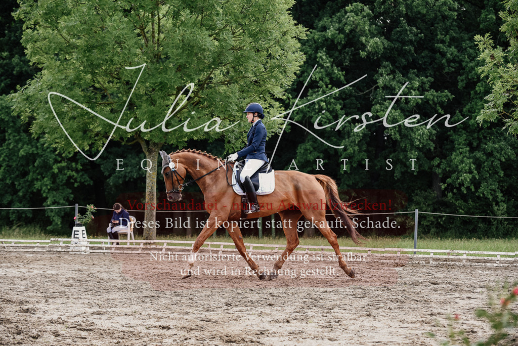 DSC_9907 | Pferde- und Turnierfotografie in Westsachsen. Pferdeportraits, Auftragszeichnungen und intuitive Kunst.