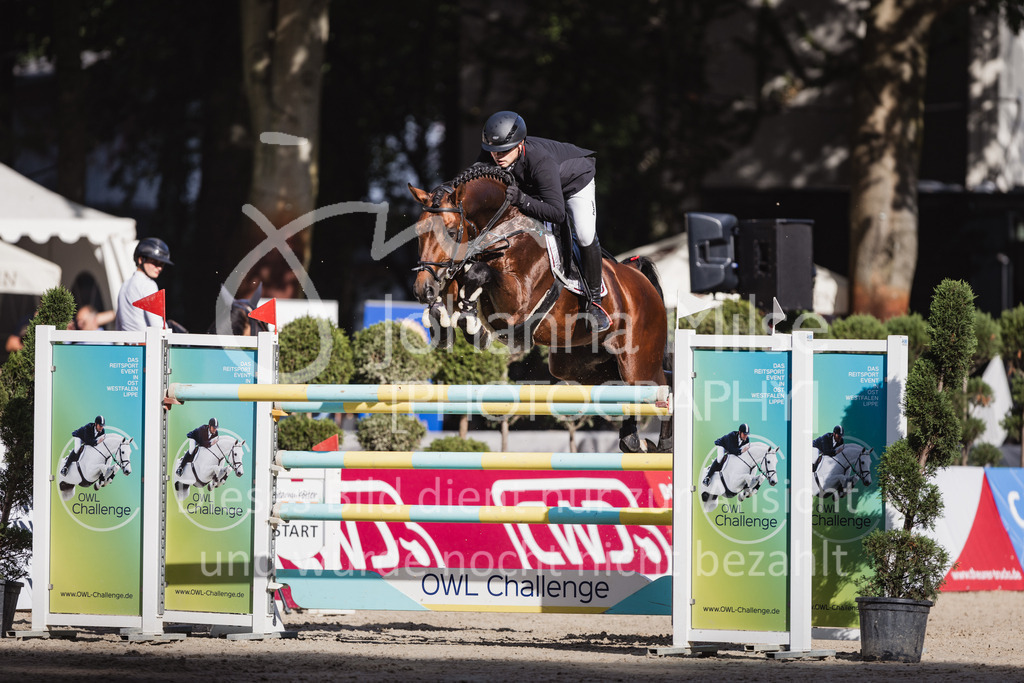 230910_OWLCh_GroßerPreis-687 | Deine schönsten Turniermomente als professionelle Fotos! Entdecke hochwertige Pferdesport-Fotografie im Online-Shop. Jetzt Fotos finden & bestellen!