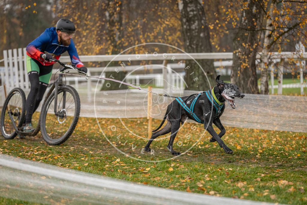 CaniXpix_DV3A8575 | Hundefotografie, Tierfotograf, Pfotenfotografie, Fotoshooting Hund, Hunde Portrait, Hundesport, Hundeportraits, Heideshooting, Hunde, Sportfotograf, Hundefotograf, Turnierhundsport, THS,  - Realisiert mit Pictrs.com
