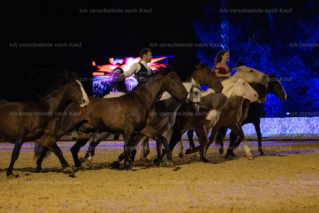 FHClassics-345 | working equitationturnier fotograf videograf stoibphotography marixx film working equitation deutschland reitsport turnierfotografie eventfotografie equestrian events