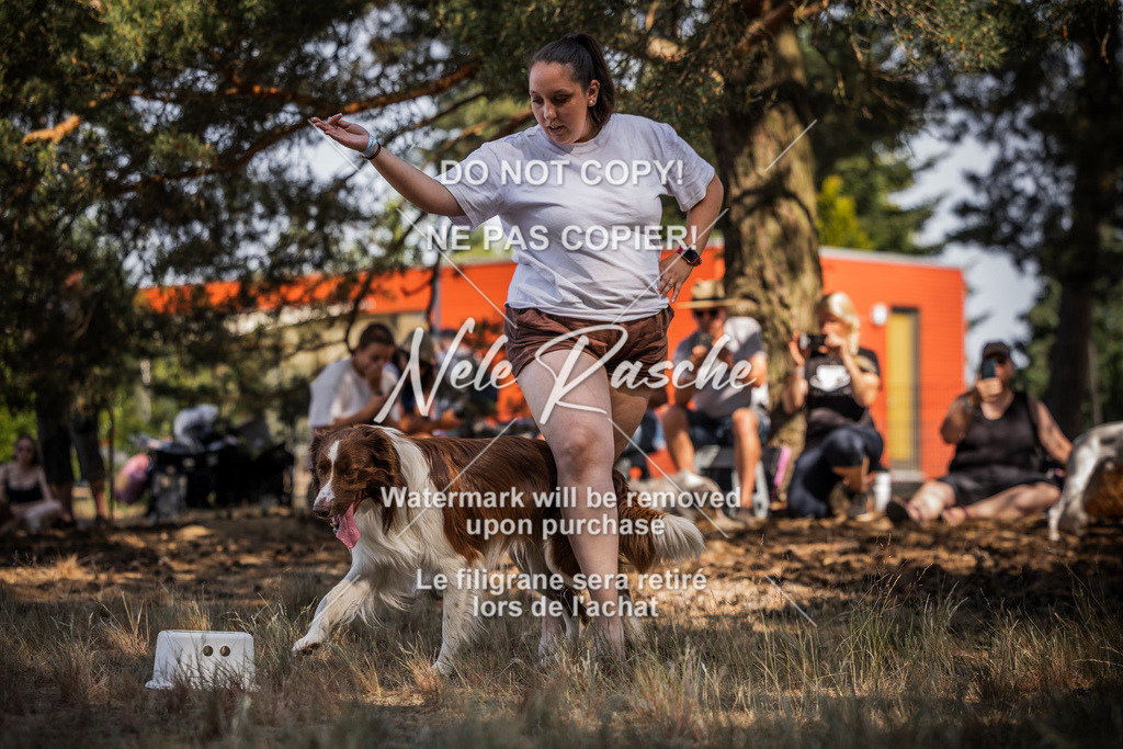 nelerasche_soDD1_435 | nelerasche