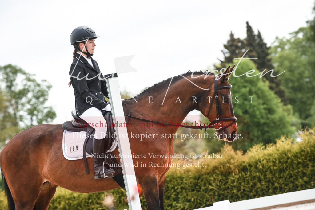 20230518_JK-Röhrsdorf-10-211 | Pferde- und Turnierfotografie in Westsachsen. Pferdeportraits, Auftragszeichnungen und intuitive Kunst.