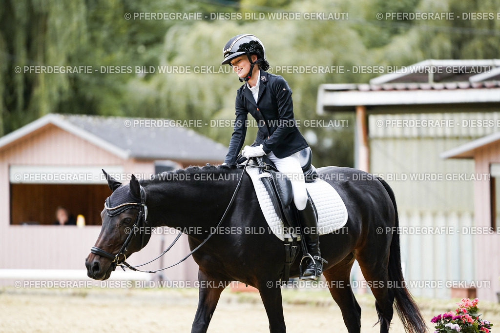 DSC09597 | Pferdegrafie