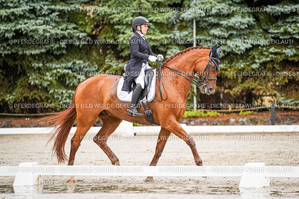 DSC09514 | Pferdegrafie