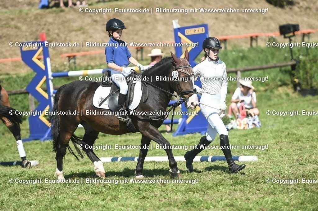 20230910_11-2_Führzügel-WB_0070 | Foto: Thomas Hartig