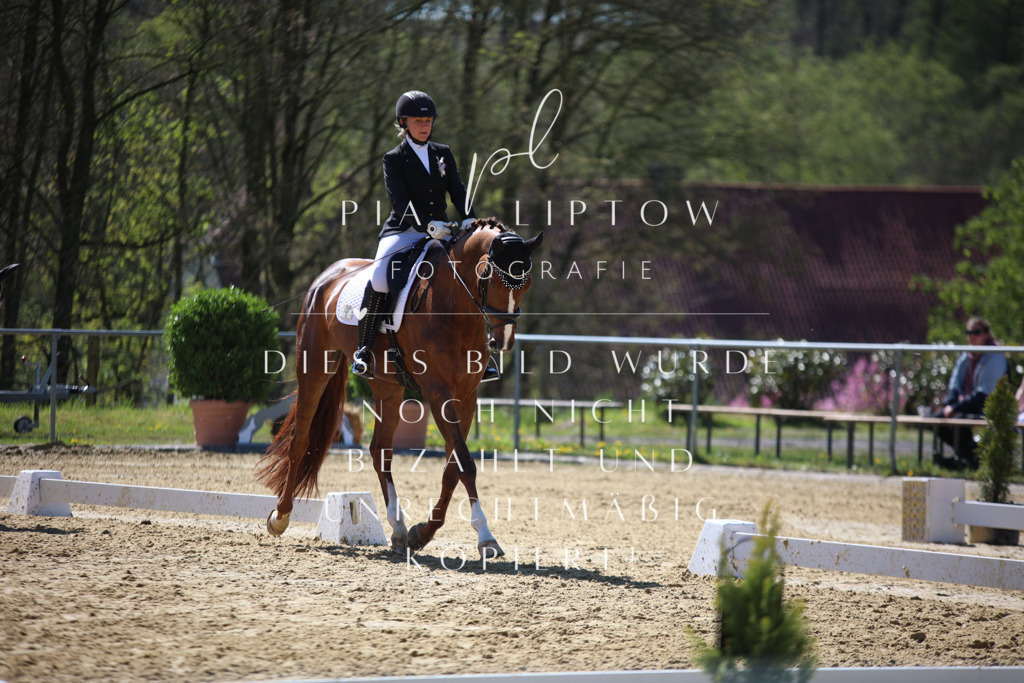 IMGT1021 | pl-fotografie