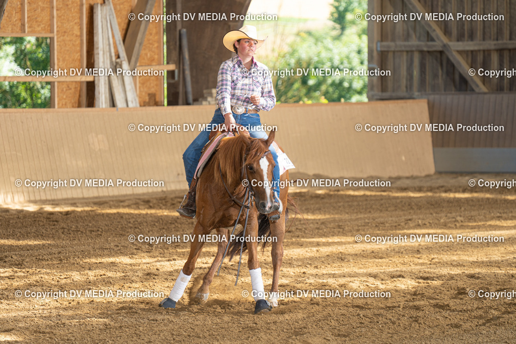 DSC00252 | dv-media-shop - Realisiert mit Pictrs.com