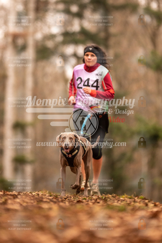 AKM_ST_2023_SAM_Run-142 | PayLife
