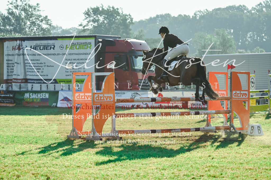 DSC_4368 | Pferde- und Turnierfotografie in Westsachsen. Pferdeportraits, Auftragszeichnungen und intuitive Kunst.