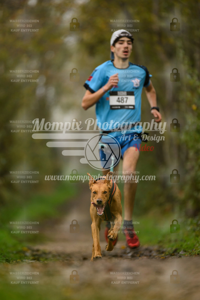 MompixPhotography_20TSB_E6_Run-11 | PayLife