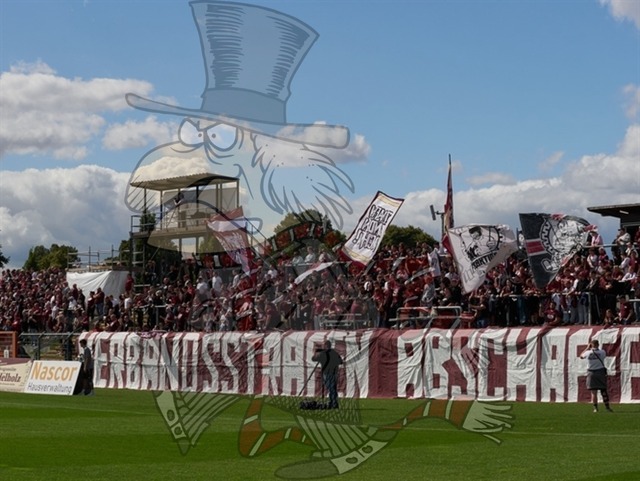 BFC Dynamo vs. ZFC Meuselwitz 064 | mythos-online-redaktion