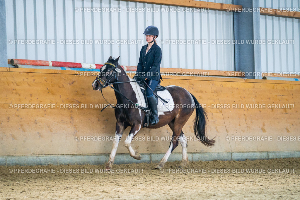 DSC03794 | Pferdegrafie