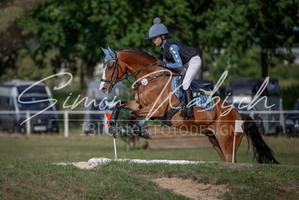 20250907-_3LI9187 | Tierfotografie Pferde, Hunde, Katzen, Haustiere.
Turnierfotografie Reitturniere, Reiten, Springreiten, Dressur in Hanau, dem Main-Kinzig-Kreis und dem Rhein-Main- Gebiet um Frankfurt