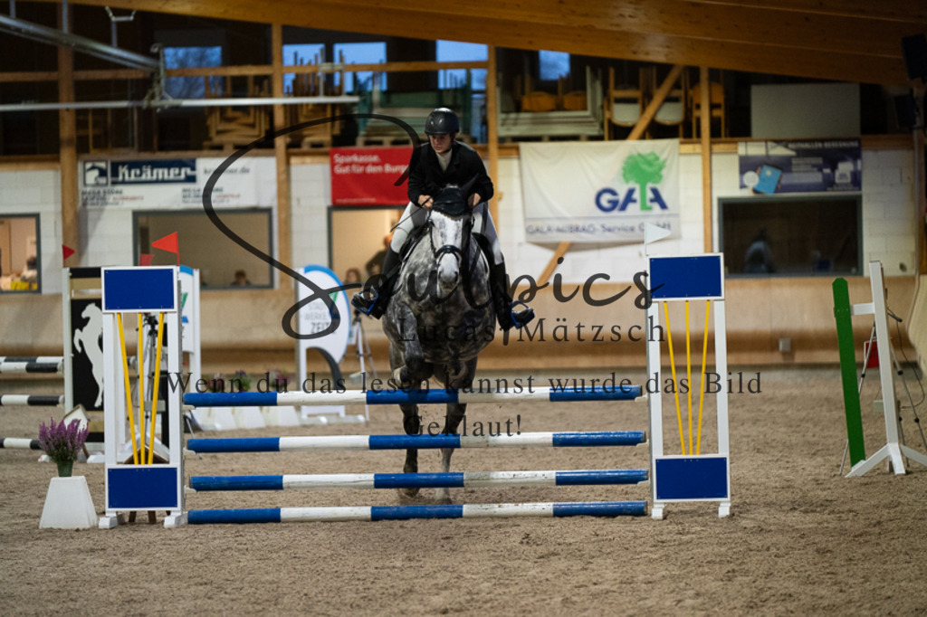 A7V03245 | Pferdefotograf