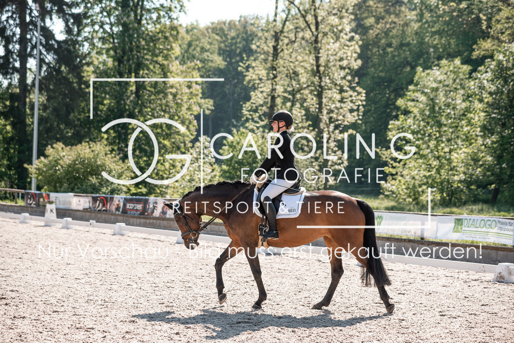 DSC_9301 | Turnierfotografin Carolin Gieschke, Turnierfotografie Carolin G Fotografie, Turnierfotos Kirchheim/Teck, Esslingen, Stuttgart, Bodenseekreis