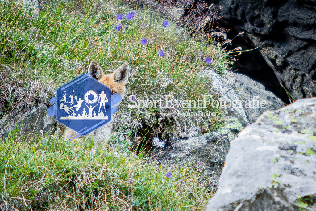 IMAG1124 | SportEventFotografie - Roman Stoiber