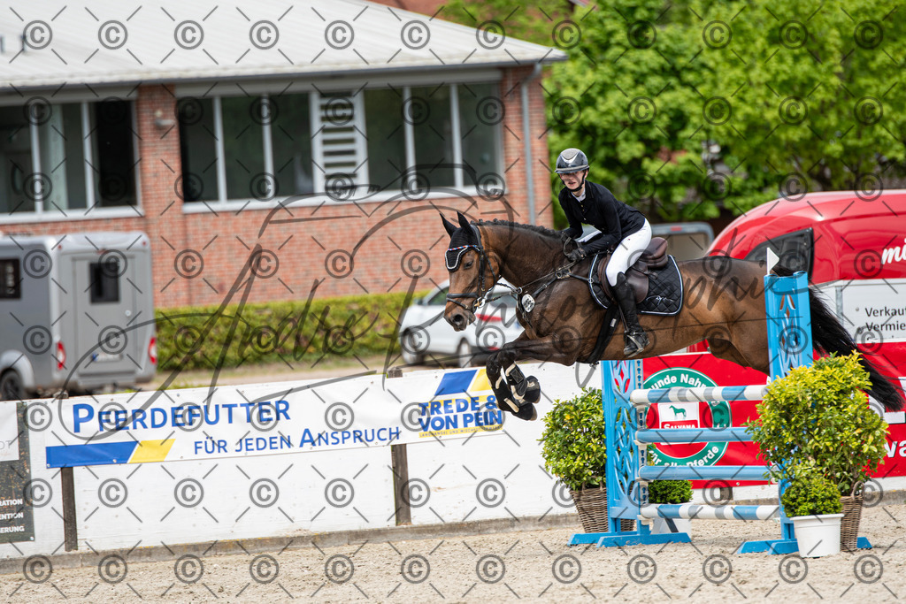 KPT_5512 | andre_photographic