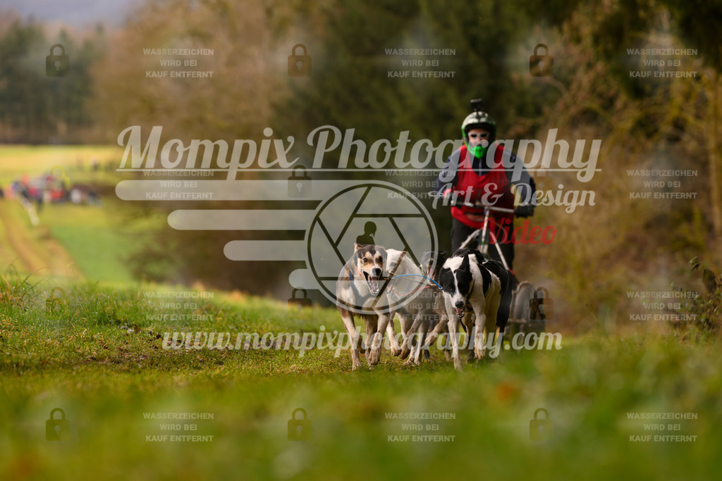 MompixPhotography_2SSTSSBW_2025_SO_Kart-29 | PayLife