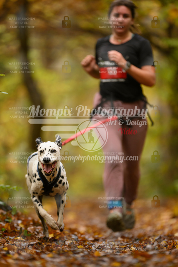 MompixPhotography_CD7S_DI_CCL-88 | mompixphotography