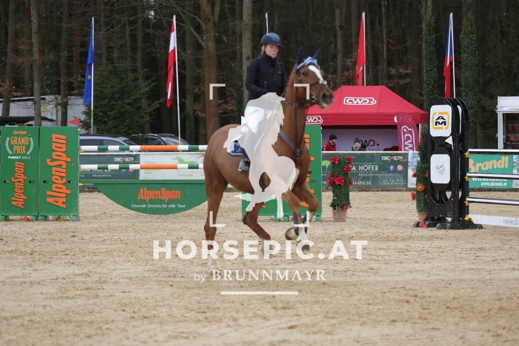 0P6A5362 | Willkommen bei Brunnmayr - Design & Fotografie – Ihrem Spezialisten für Reitturniere und Pferdeveranstaltungen in Oberösterreich, Salzburg und Bayern! Seit über 17 Jahren sind wir leidenschaftlich dabei.