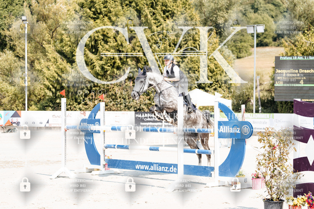 CK901112 | Turnierfotografie Pferdefotografie Trier Rheinland-Pfalz Pferdesport Reitsport Tierfotografie Sportfotografie Pferdevideo Pferdevideografie Equestrianvideography equestrianphotography  - Realisiert mit Pictrs.com