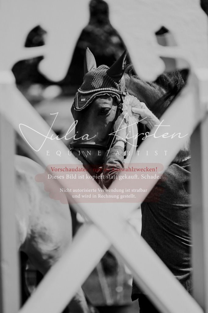 DSC_9184 | Pferde- und Turnierfotografie in Westsachsen. Pferdeportraits, Auftragszeichnungen und intuitive Kunst.