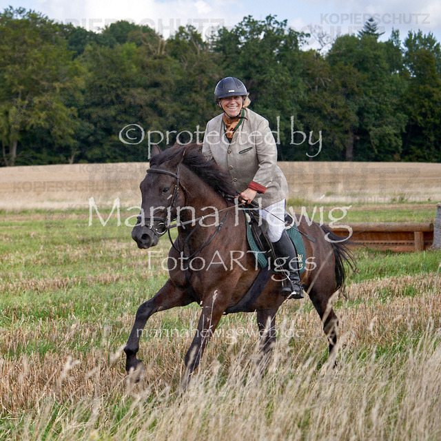 08-23 Bredeneek Jagd_MCH8796_Marina Hewig | Fotografie, FotoArt, PferdesportArt, Pferdesportfotografie, Landschaftsfotografie, Reisefotografie, Reise, Pferde - Realisiert mit Pictrs.com