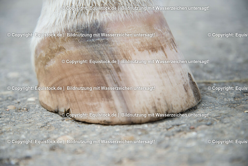 20160626_Ausgefranster_Tragerand_0004-2 | Foto: Thomas Hartig