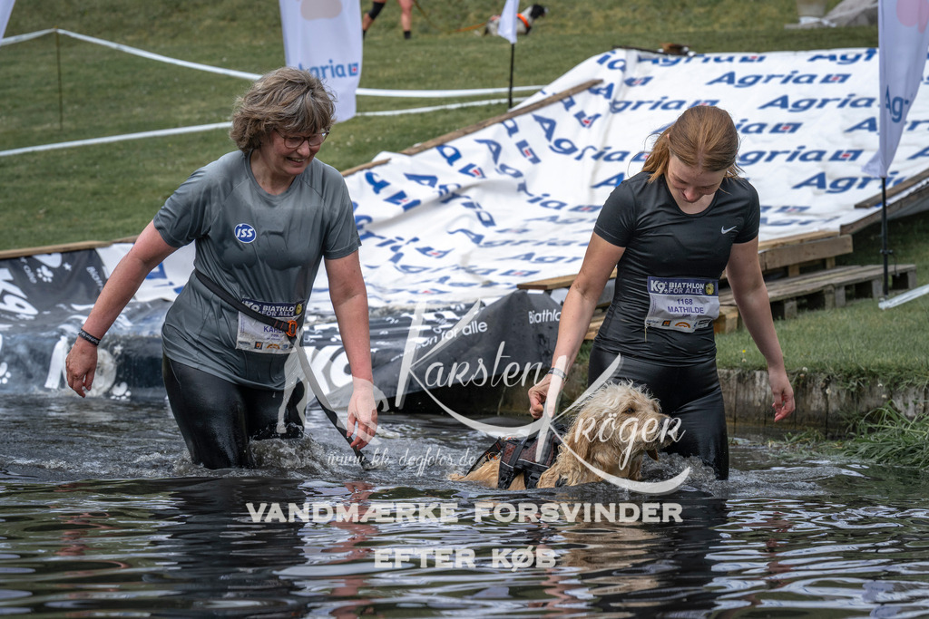 1141_ZZ93466 | kk-dogfotos