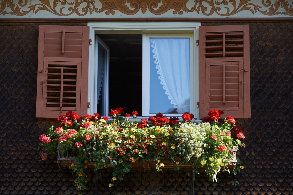 Gasthof Adler Detail | Schwarzenberg, Austria - August 04, 2014: Gasthof Adler Fenster mit Blumenzierde. - Realisiert mit Pictrs.com