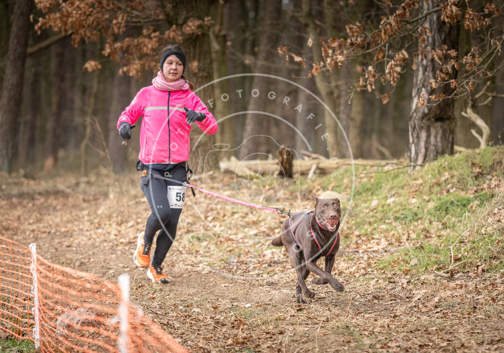 Pfotenfotografie_DV3A2044 | Hundefotografie, Tierfotograf, Pfotenfotografie, Fotoshooting Hund, Hunde Portrait, Hundesport, Hundeportraits, Heideshooting, Hunde, Sportfotograf, Hundefotograf, Turnierhundsport, THS,  - Realisiert mit Pictrs.com