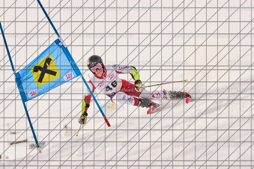 ALP8296_Herrn-FIS-GS-I_Lackenhof-WY_Hinterholzer Lukas | Internationaler FIS GiantSlalom der Herrn auf der Distelpiste in Lackenhof am Mo 10. März 2025.  Österreich, LSV-NÖ, Sportunion Waidhofen/Ybbs (2035).