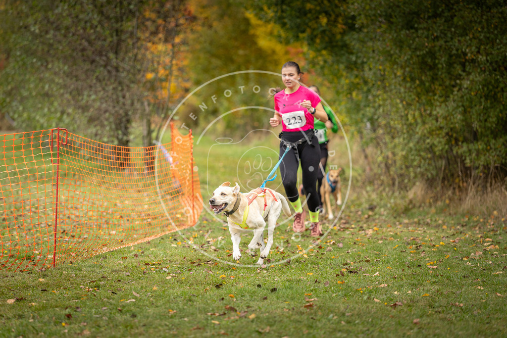 Pfotenfotografie_DV3A4581 | Hundefotografie, Tierfotograf, Pfotenfotografie, Fotoshooting Hund, Hunde Portrait, Hundesport, Hundeportraits, Heideshooting, Hunde, Sportfotograf, Hundefotograf, Turnierhundsport, THS,  - Realisiert mit Pictrs.com