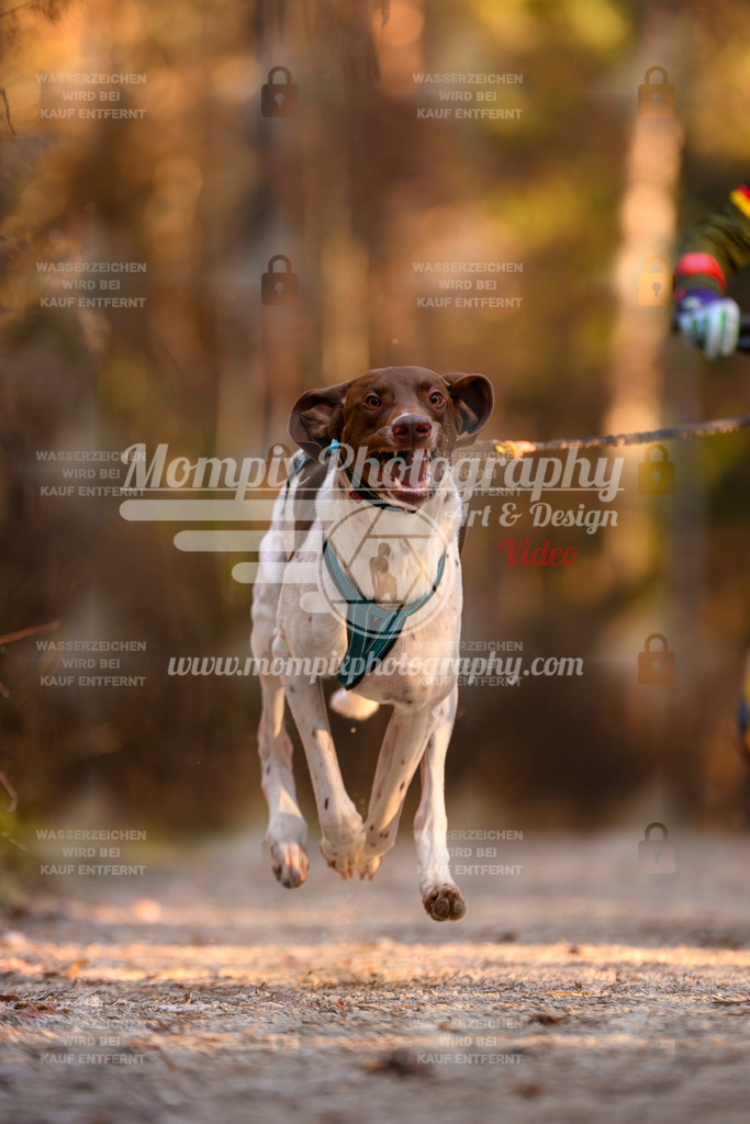 MompixPhotography_DM_AKDM_SO_2025_Bike-107 | PayLife