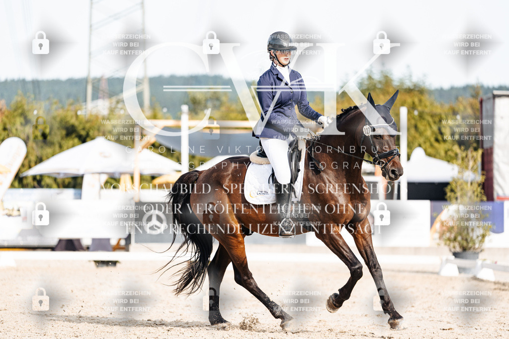 CK905046 | Turnierfotografie Pferdefotografie Trier Rheinland-Pfalz Pferdesport Reitsport Tierfotografie Sportfotografie Pferdevideo Pferdevideografie Equestrianvideography equestrianphotography  - Realisiert mit Pictrs.com