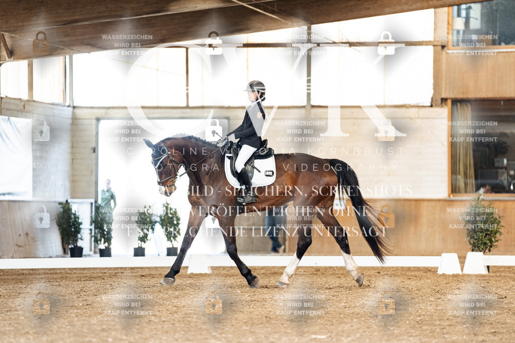 CK901174 | Turnierfotografie Pferdefotografie Trier Rheinland-Pfalz Pferdesport Reitsport Tierfotografie Sportfotografie Pferdevideo Pferdevideografie Equestrianvideography equestrianphotography  - Realisiert mit Pictrs.com