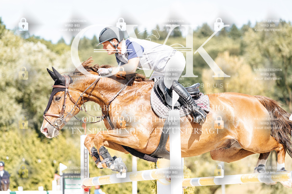 CK908980 | Turnierfotografie Pferdefotografie Trier Rheinland-Pfalz Pferdesport Reitsport Tierfotografie Sportfotografie Pferdevideo Pferdevideografie Equestrianvideography equestrianphotography  - Realisiert mit Pictrs.com