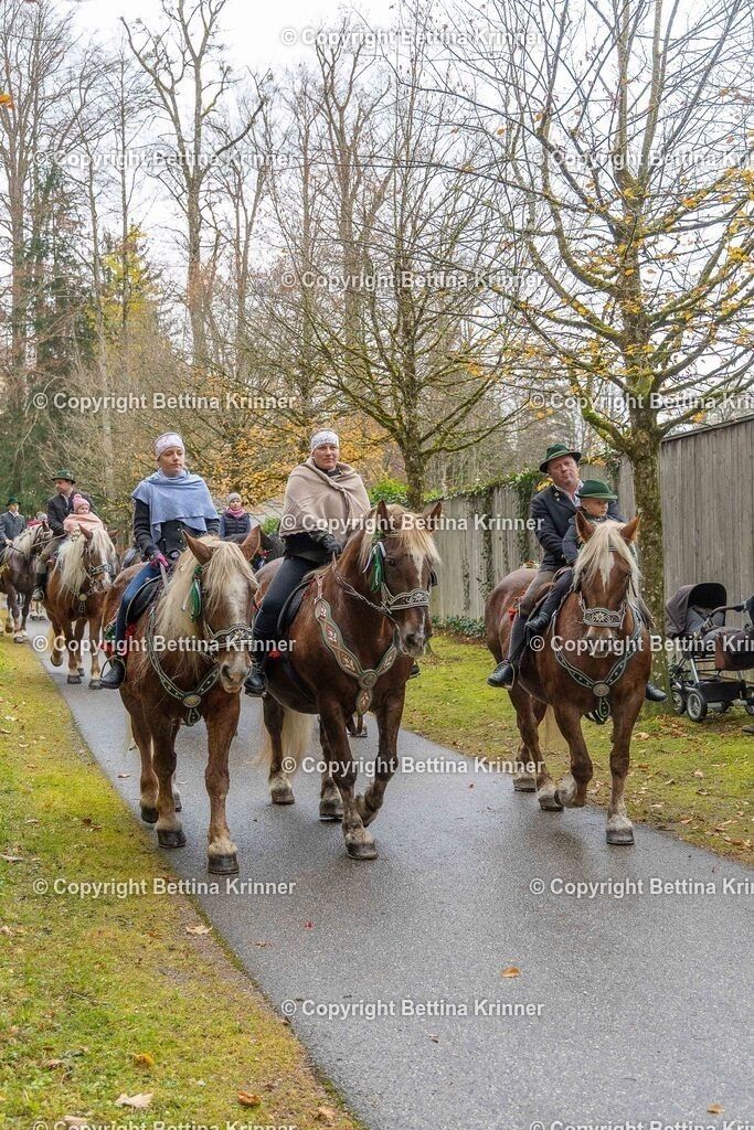 LL25-239 | foto-bettina-krinner - Realisiert mit Pictrs.com
