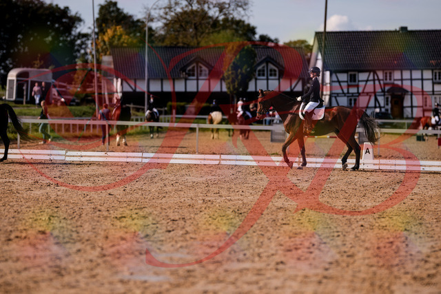 2026_10_03_Siefer-Hof_130852_Z81_62168357 | Professionelle Reitsport-, Turnier- und Eventfotografie von Robert Broda. Galerien mit ausgewählten und bearbeiteten Bildern direkt online ansehen und bestellen.