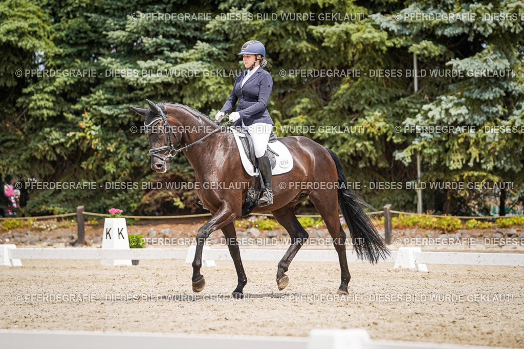 DSC03563 | Pferdegrafie