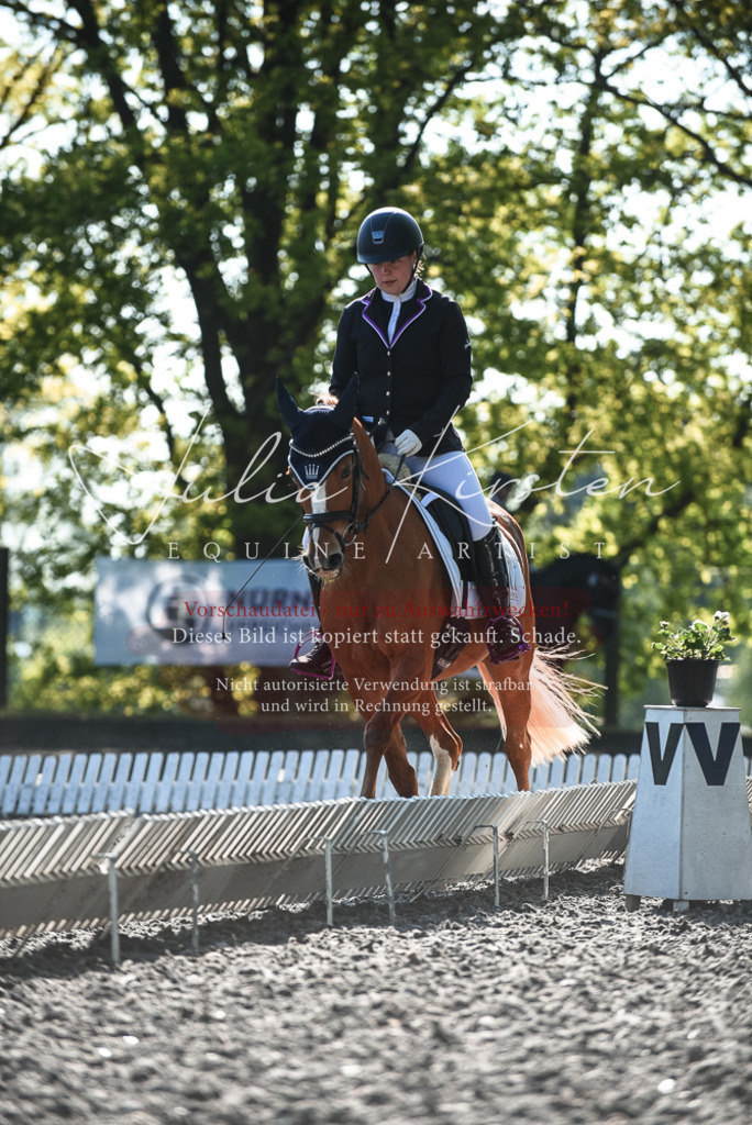 DSC_8404 | Pferde- und Turnierfotografie in Westsachsen. Pferdeportraits, Auftragszeichnungen und intuitive Kunst.
