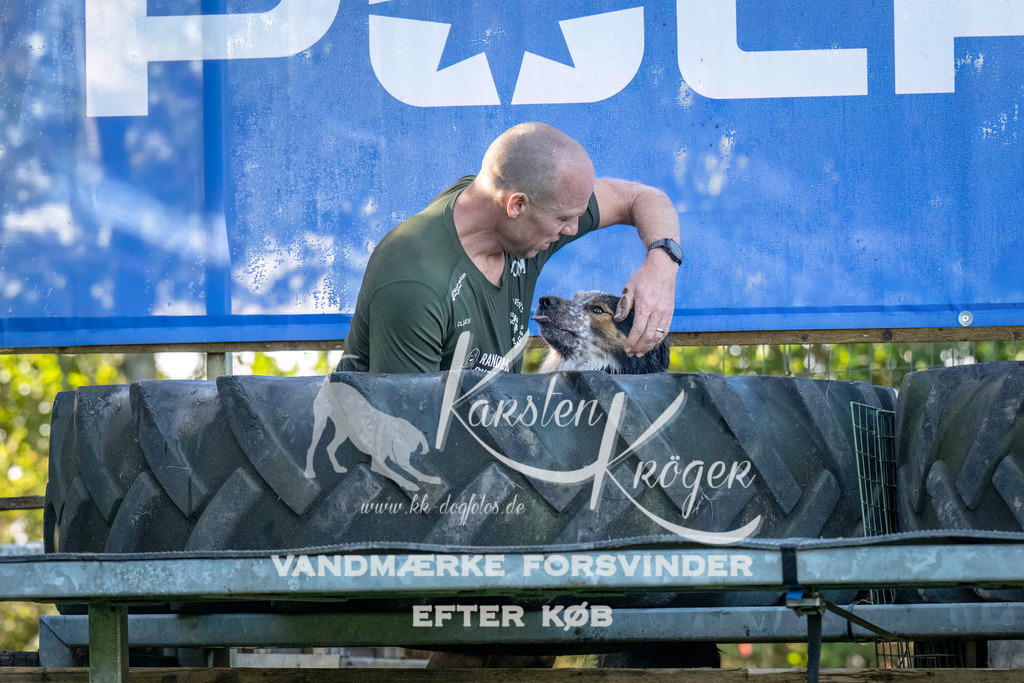 1023--7 | kk-dogfotos