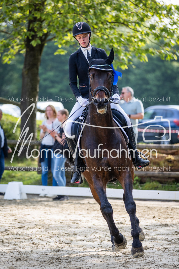 Donop24-A2-Dre-100 | MomenTaufnahmen Pferdesportfotos