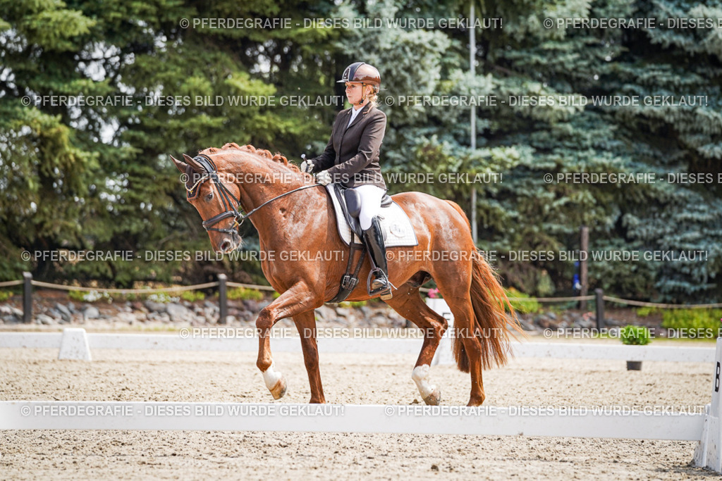 DSC09856 | Pferdegrafie