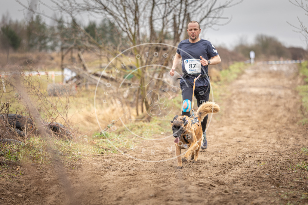DV3A9926 | Hundefotografie, Tierfotograf, Pfotenfotografie, Fotoshooting Hund, Hunde Portrait, Hundesport, Hundeportraits, Heideshooting, Hunde, Sportfotograf, Hundefotograf, Turnierhundsport, THS,  - Realisiert mit Pictrs.com
