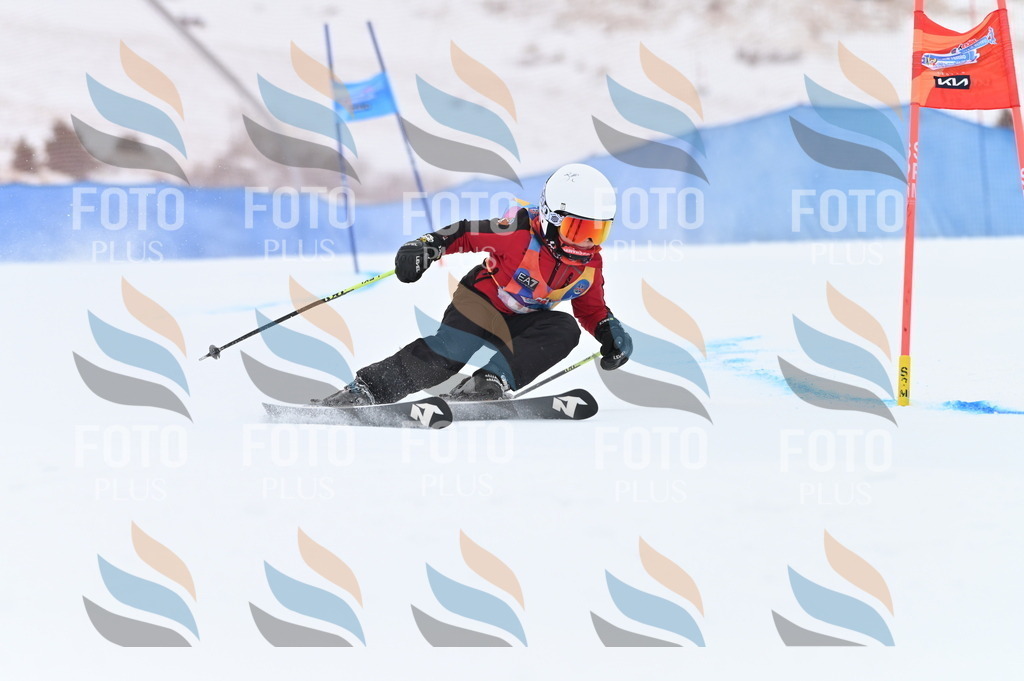 BGV_0032 | holidayphoto