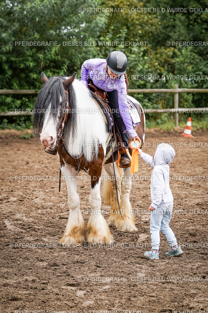 DSC03942 | Pferdegrafie