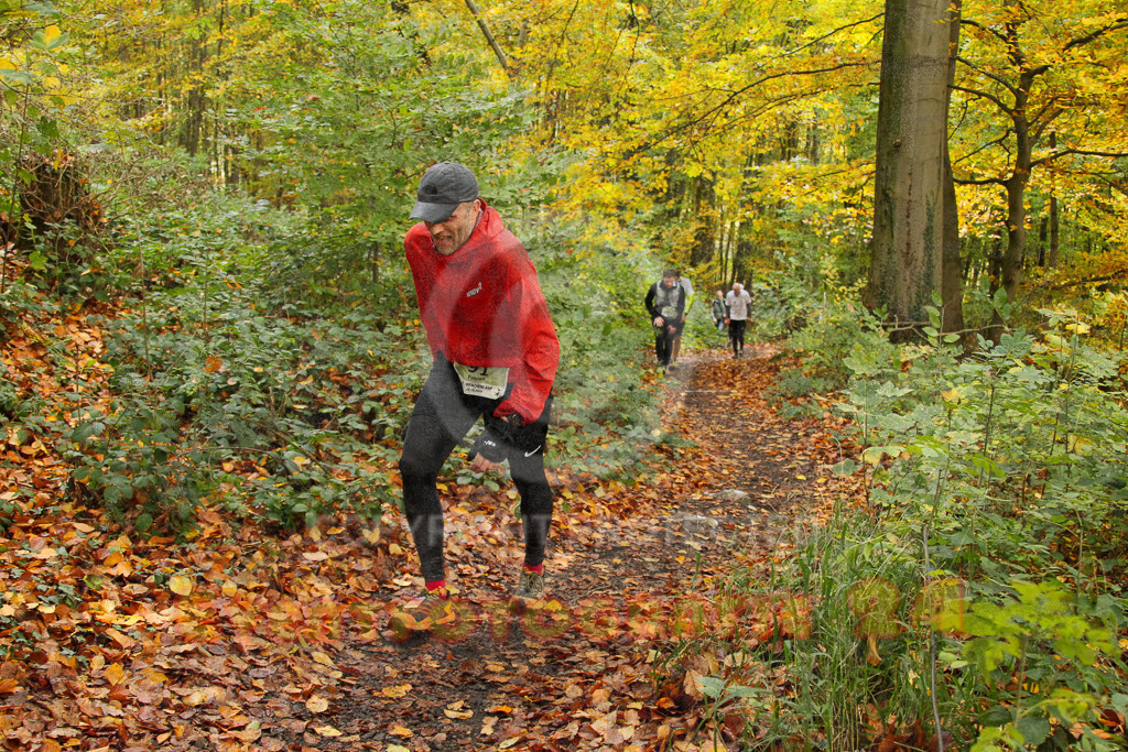 251026_1240_EV4_5574 | Sportfotografie im Rhein-Sieg Kreis, Köln, Bonn, NRW, Rheinland Pfalz, Hessen, etc. Unser Tätigkeitsfeld umfasst den Laufsport vom Volkslauf über den Marathon, Duathlon, Triathon bis zum Ultralauf wie Kölnpfad Ultra oder Schindertrail.